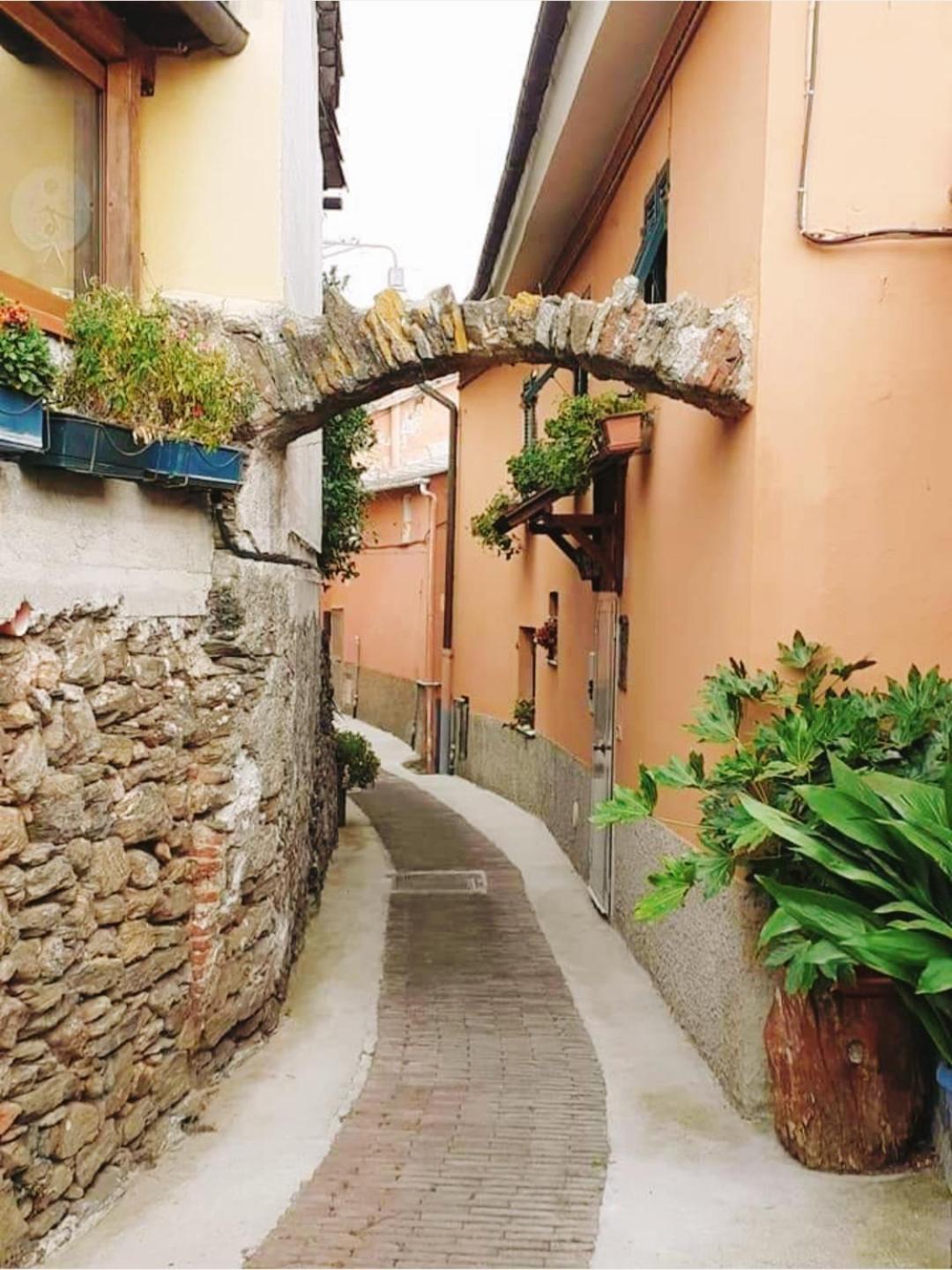 Biancospino Apartment